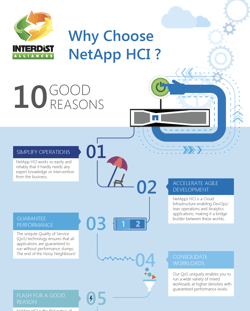 NetApp_Infographic_preview.png
